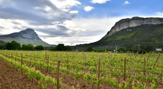 Pic Saint Loup et Hortus