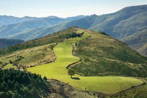 Corniche des Cévennes