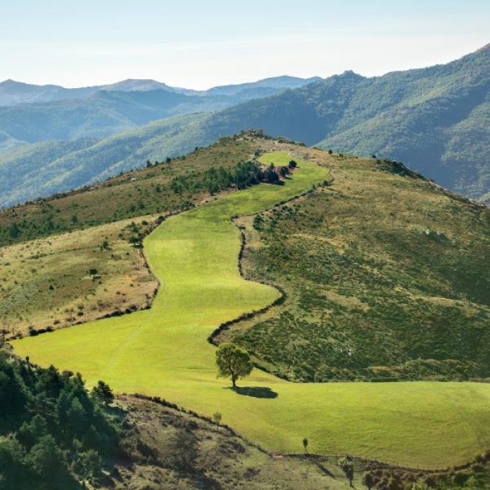 Corniche des Cévennes