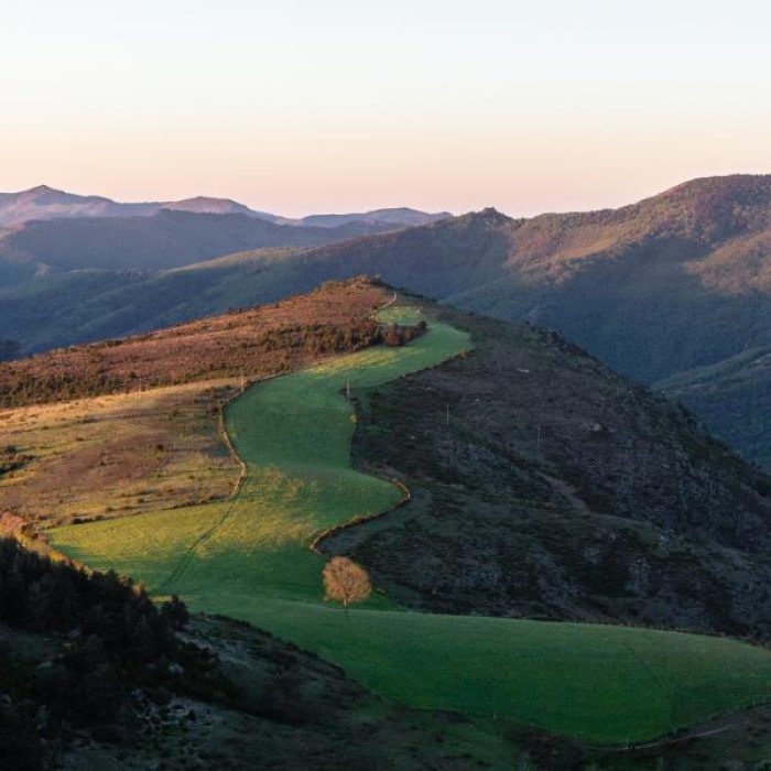 Corniche des Cévennes