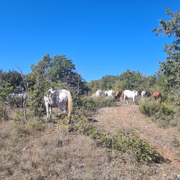 Le Larzac