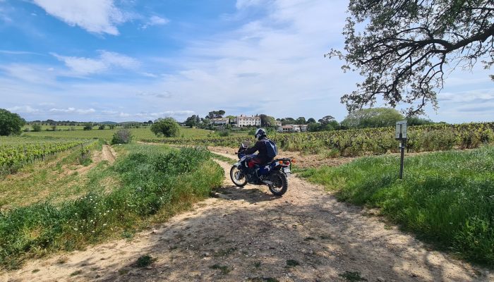 Entre Vignes et Garrigue dans l'Hérault