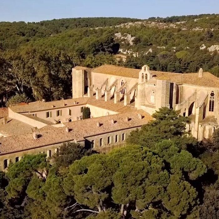 Abbaye de Valmagne